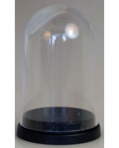 000002. LARGER PLASTIC DISPLAY DOME WITH BLACK BASE. Perfect to Display The 45mm Stand Alone Replica Trophies.