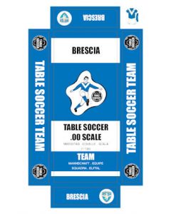 BRESCIA. self adhesive team box labels.