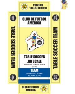 CLUB DE FUTBOL AMERICA. self adhesive team box labels.