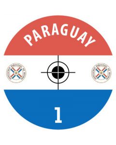 PARAGUAY. 24 Self Adhesive Paper Base Stickers With Badge, Team Name & Numbers.