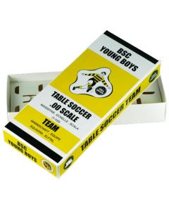 BSC YOUNG BOYS. COLOURED TEAM HOLDER BOX.